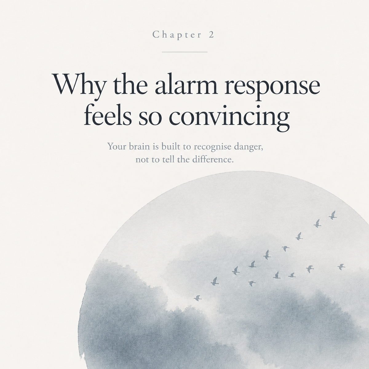 Panic Without Danger : Free yourself from the fear your body raises for no reason